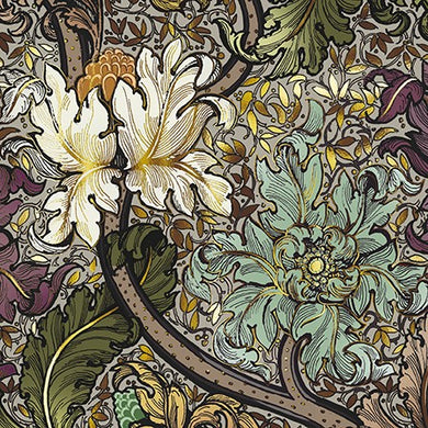 Card-morris Major 