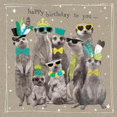 Happy Birthday To You- Meerkats