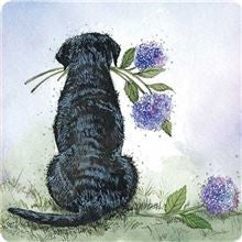 Alex Clark Coaster - Labrador And Hydrangeas