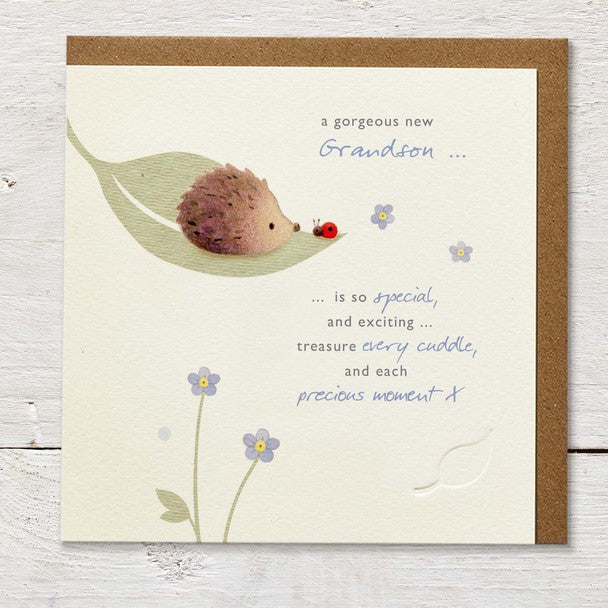 New Baby - New Grandson