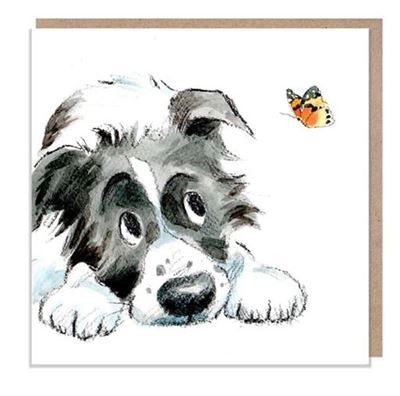 Cards - Black And White Collie With Butterfly
