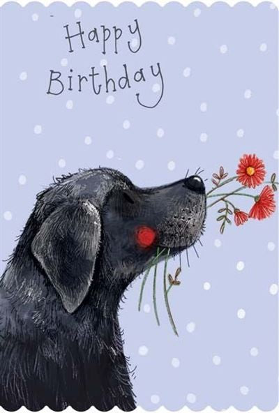 Cards - Labrador And Flower Birthday 