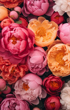 Grace & James - Peony, Iris & Lotus Flower