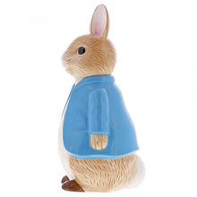 Load image into Gallery viewer, Peter Rabbit Sculpted Money Bank
