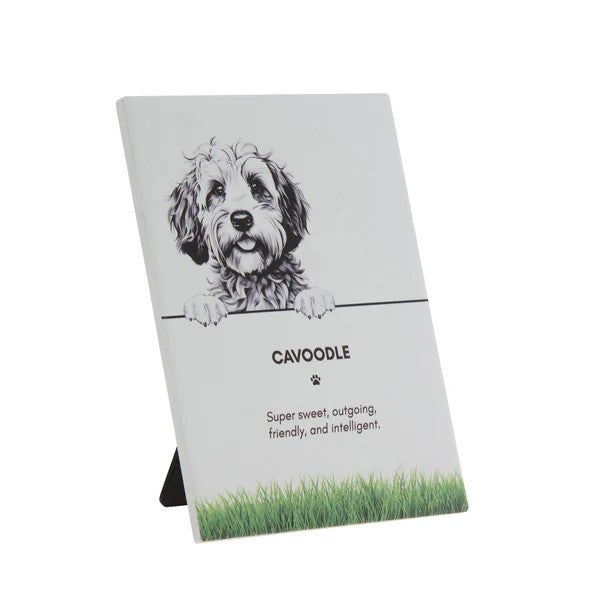 Bramble Bay Pet Plaque- Cavoodle 