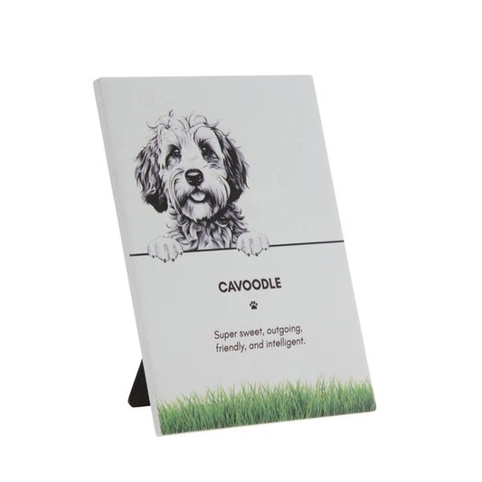 Bramble Bay Pet Plaque- Cavoodle 