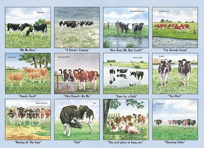 Cow In The Meadow  Calendar