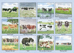 Cow In The Meadow  Calendar