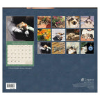 Kittens Calendar 