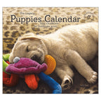Puppies Wall Calendar 