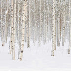 Milkbottle Candle Small - Silver Birch