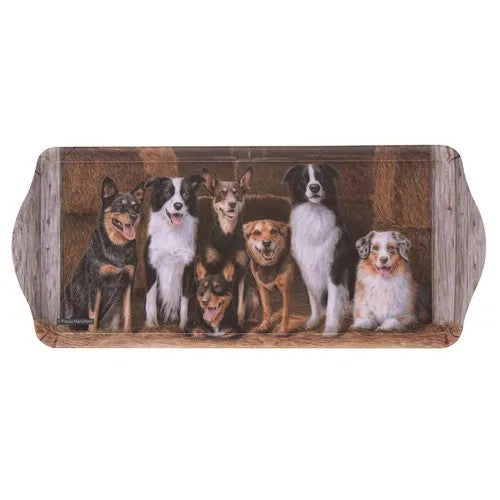 Working Dog Hay Shed Sandwich Tray 