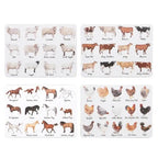 Best In Breed Kitchen Towel [des:horse]