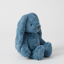 Load image into Gallery viewer, Blue Bunny Medium
