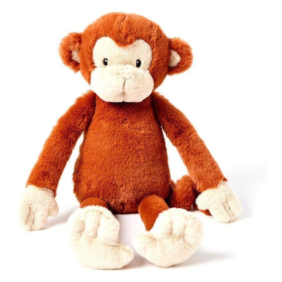 Gigi The Monkey 