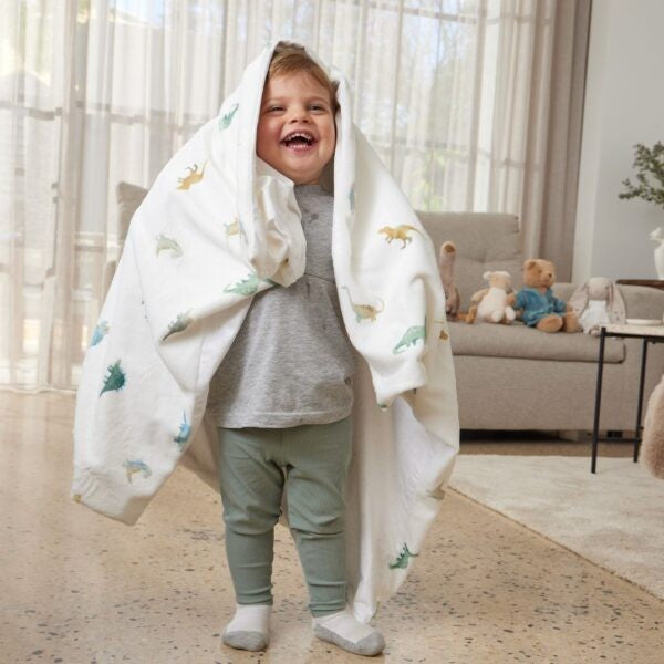 Dallying Dinosaurs Soft Fleece Blanket 