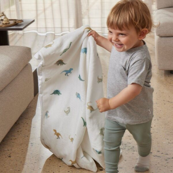 Dallying Dinosaurs Soft Fleece Blanket 