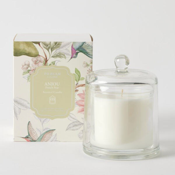 Anjou Glass Cloche Candle 