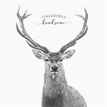 Card - Handsome Bear (stag)