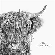 Card - Shaggy Cow