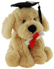 Dog Buddy Graduation 18cm 