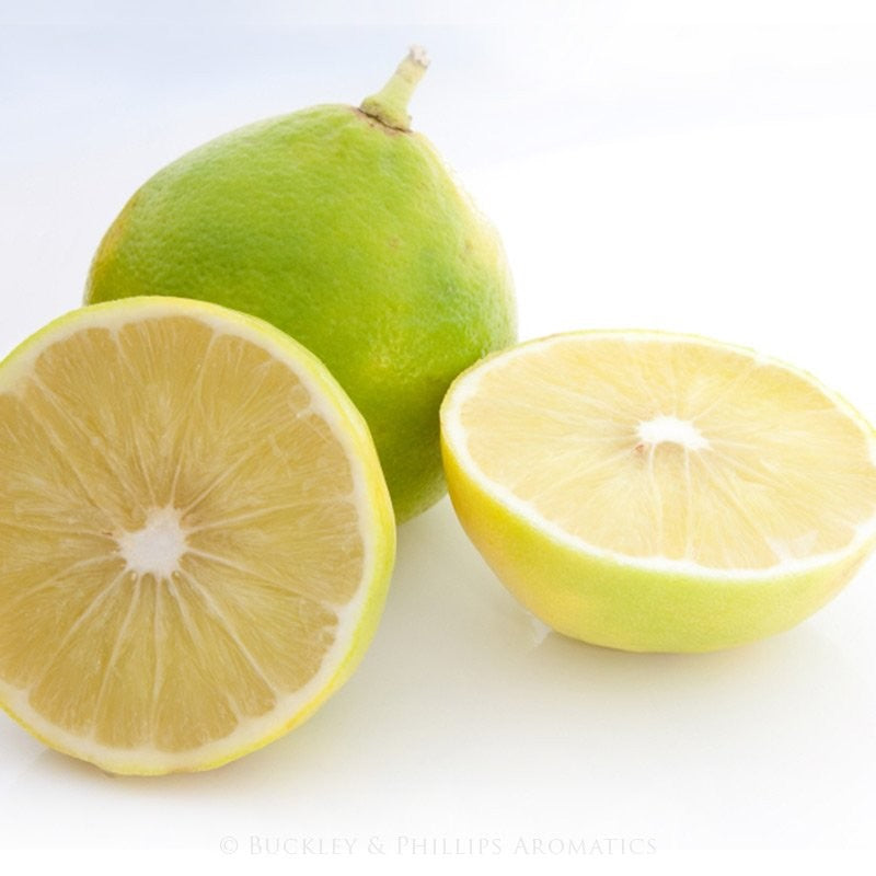 Essential Oil - Bergamot