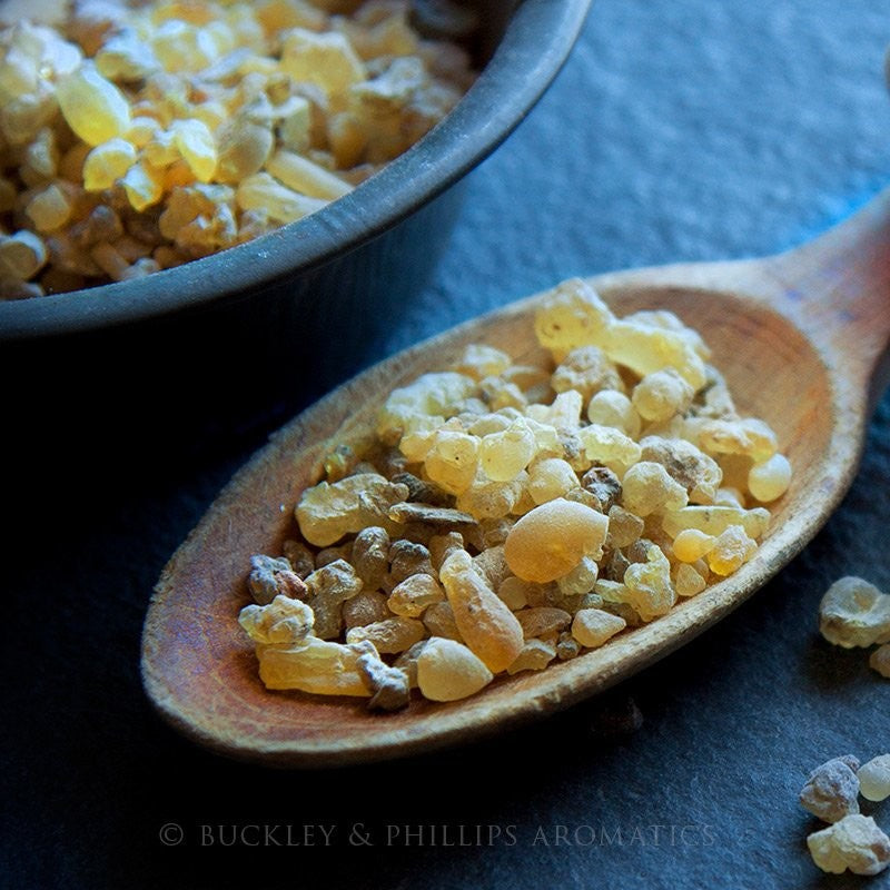 Essential Oil - Frankincense