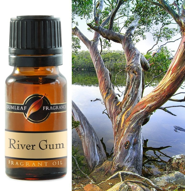 Gumleaf Fragrance River Gum 10ml Oil