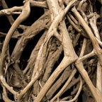 Essential Oil - Sandalwood