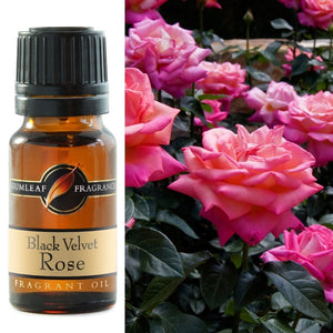 Gumleaf Fragrance Oil - Black Velvet Rose