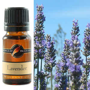 Gumleaf Fragrance Oil - Lavender