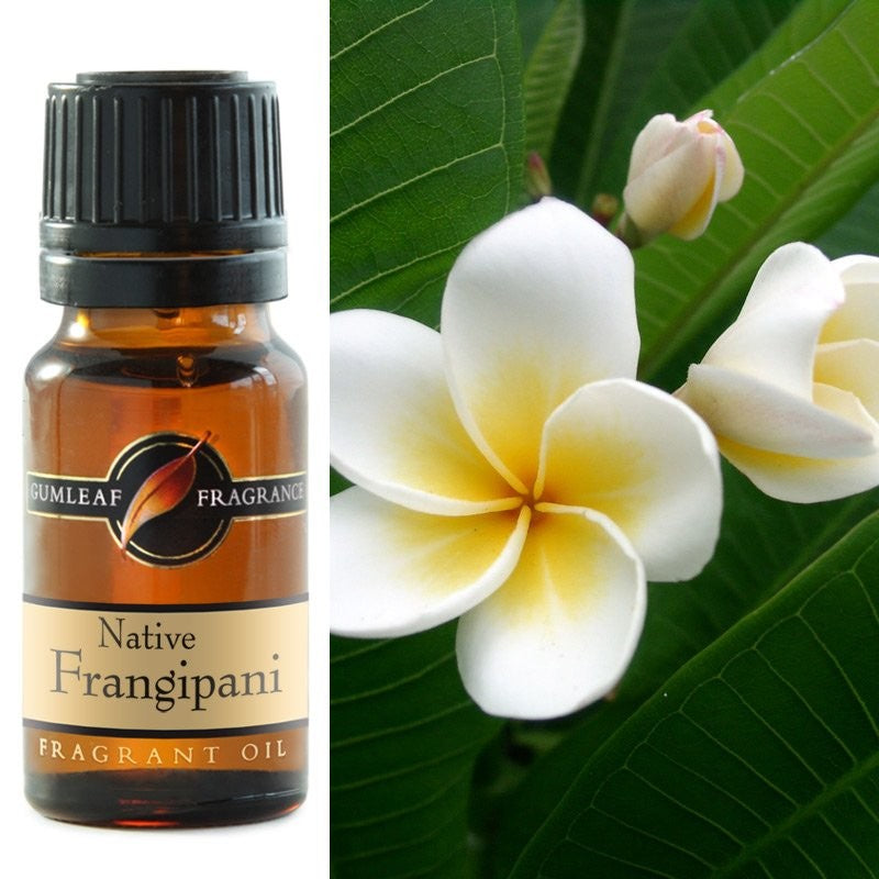 Gumleaf Fragrance Oil - Native Frangipani