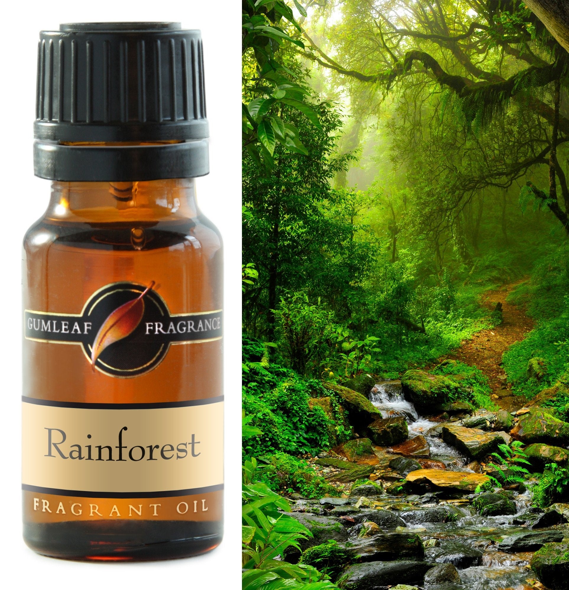Gumleaf Fragrance Oil - Rainforest 