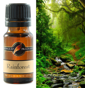 Gumleaf Fragrance Rainforest 10ml Oil