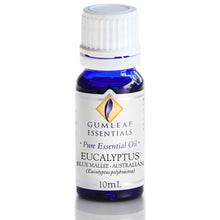 Load image into Gallery viewer, Essential Oil - Eucalyptus Blue Mallee
