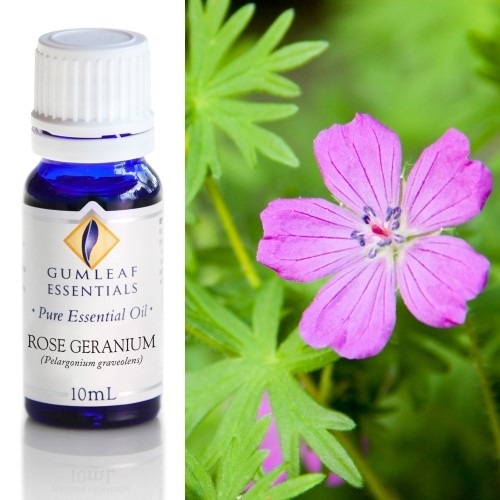 Essential Oil - Rose Geranium