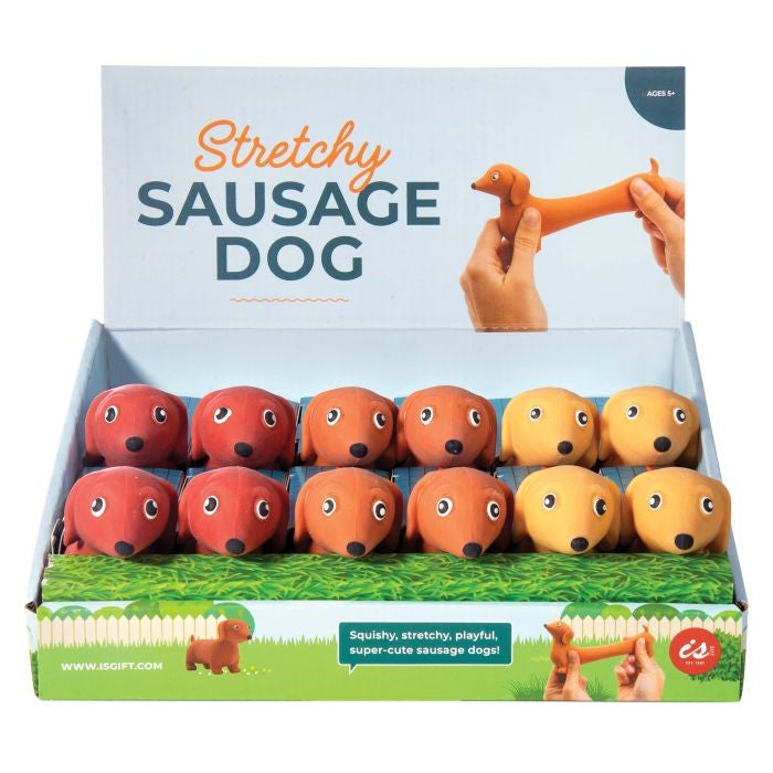 Stretchy Sausage Dog 3 Asorted 