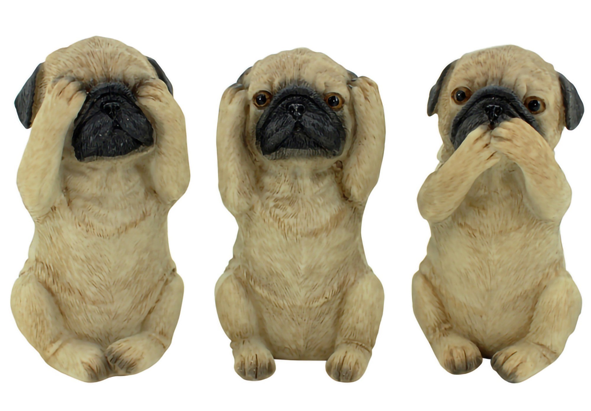 Hss - Pug 