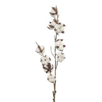 Cotton Spray Natural White - 71cm