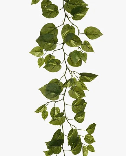Pothos Garland Green 180cm
