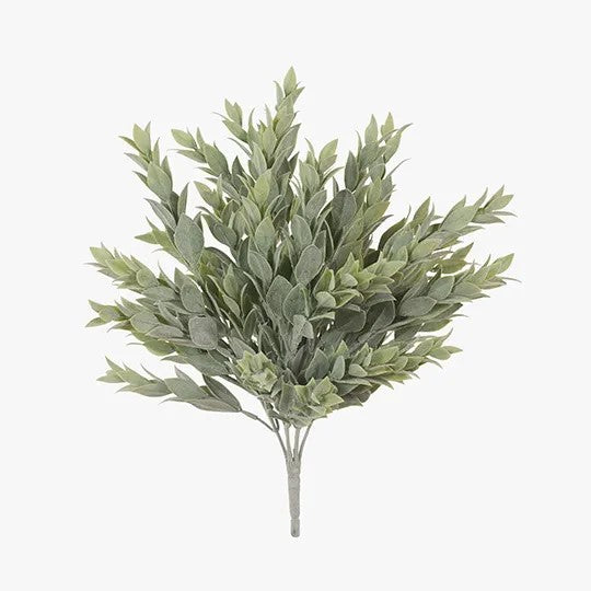 Ruscus Bush Grey Green 38cm