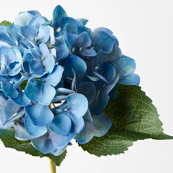 Hydrangea Blue