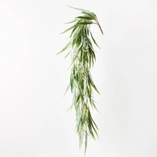 Eucalypus Seed Hanging Bush 