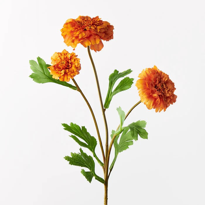 Marigold Spray - Burnt Orange 5cml 