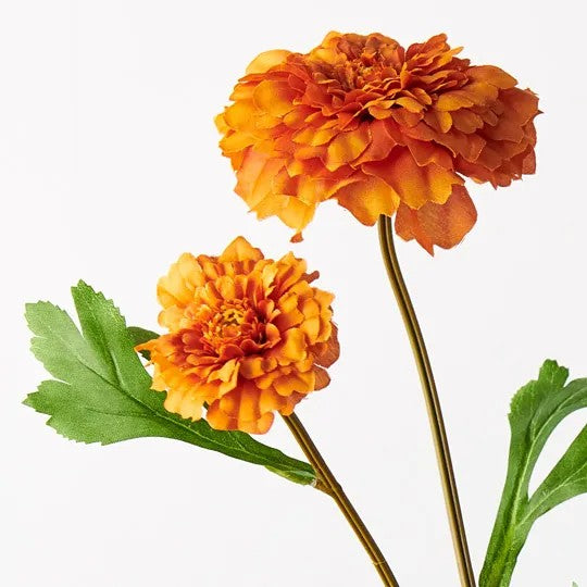 Marigold Spray - Burnt Orange 5cml 