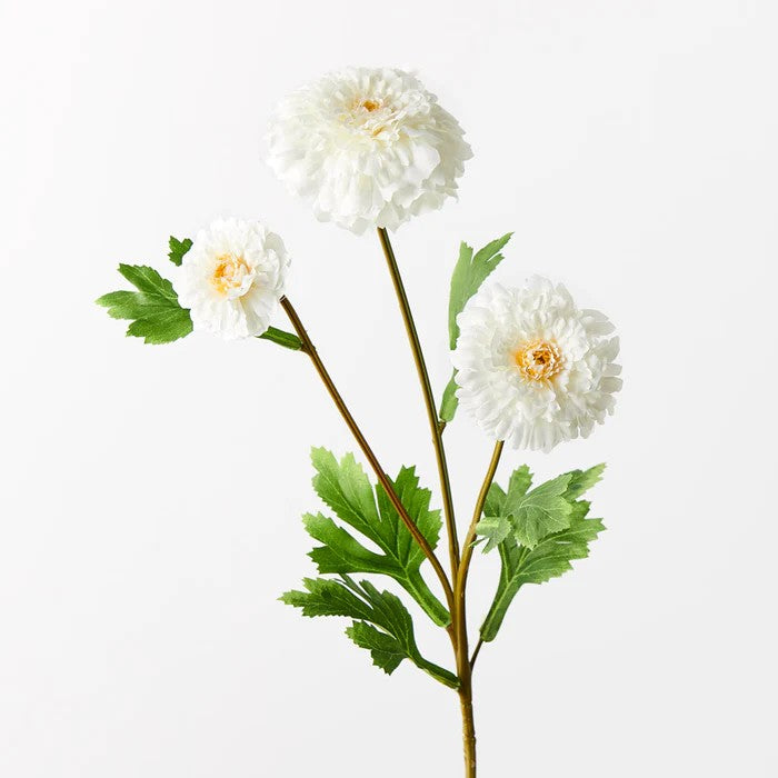 Marigold Spray- White 55cml 