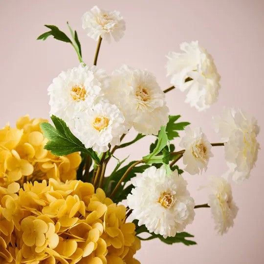 Marigold Spray- White 55cml 