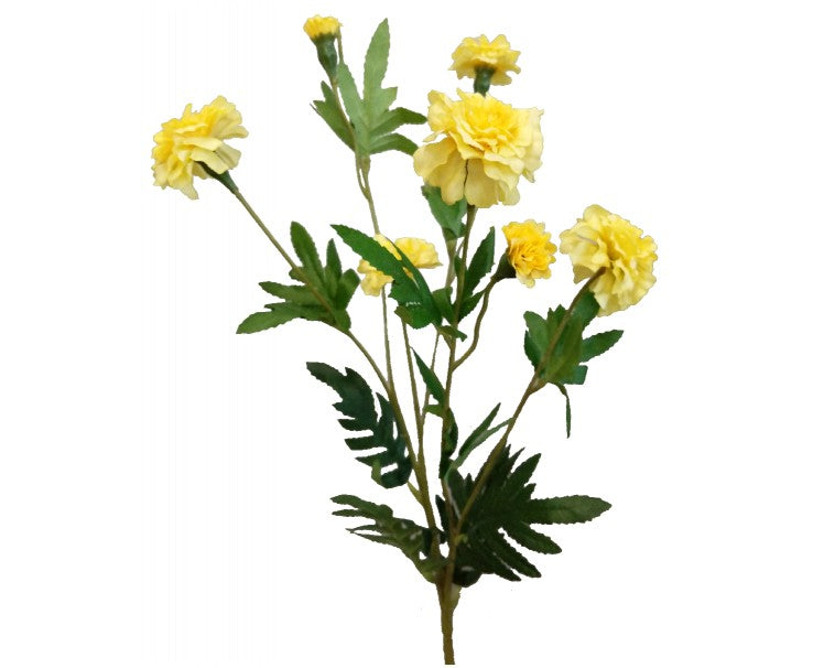 Marigold Spray - Yellow 55cml 