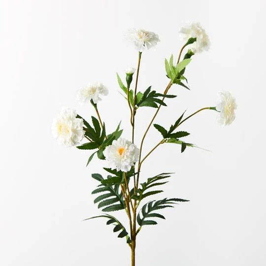 Marigold Spray - White 82cml 