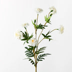 Marigold Spray - White 82cml 